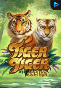 Bocoran RTP Tiger Tiger Wild Life di RTP PIN4D